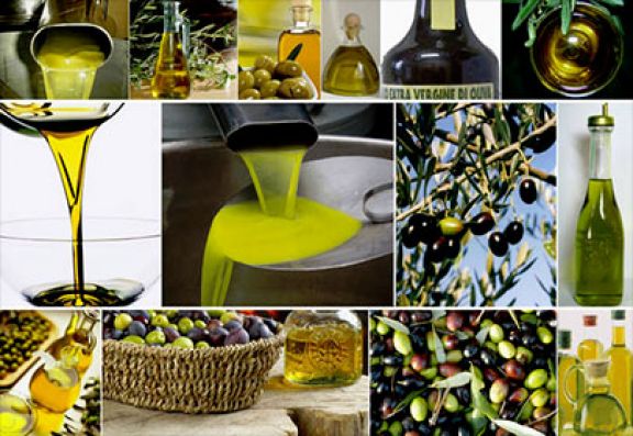 Olive oil PDO PGI Image